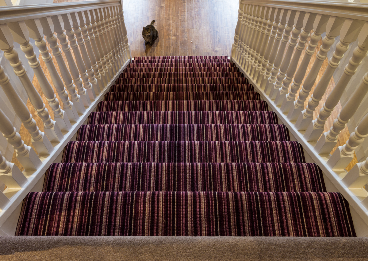 looking down the stairs 