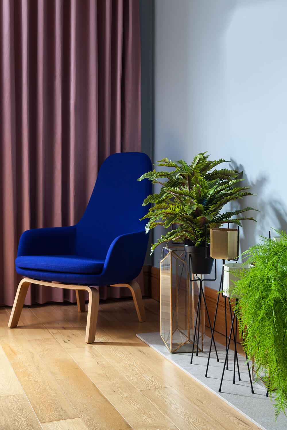 Pink curtains with right blue chair and plants